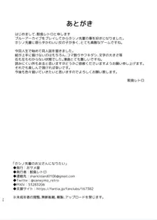 ホシノ先輩のお父さんになりたい, 日本語