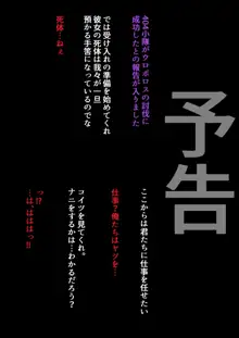 裏キューブ作戦, 日本語