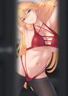 Artoria Pendragon (decensored), 日本語