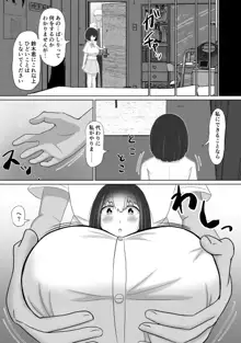 いじめっ子のしかえし, 日本語