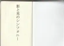 影と光のシンフォニー, 日本語