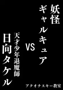 妖怪ギャルキュアVS天才少年退魔師日向タケル, 日本語