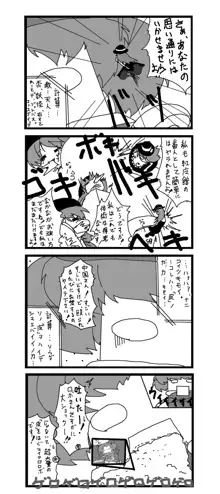 東方皮想天則, 日本語