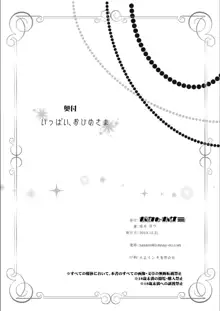 いっぱい、おひめさま, 日本語