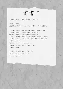 愛玩御霊, 日本語