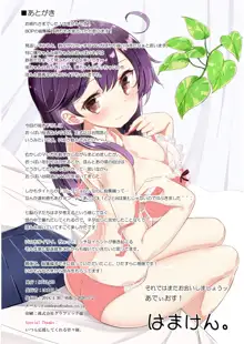 第七駆逐隊 hamaken collection 総集編 + 潮ちゃんのお花見!おっぱい桜酒。, 日本語