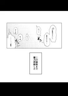 妖精騎士トリスタンをわからせる本, 日本語