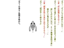 三夏の守護者見習い生活, 日本語