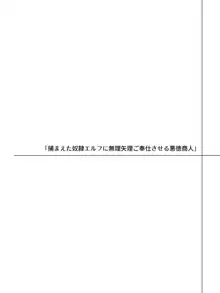 エルフにひどいことしたい悪徳商人のお話, 日本語