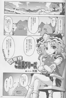 東方靴下本Extra, 日本語