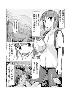 少女と山遊び, 日本語