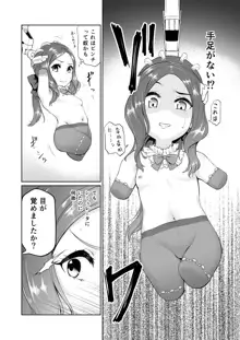 ダヴィンチちゃん洗脳疑似だるま本, 日本語