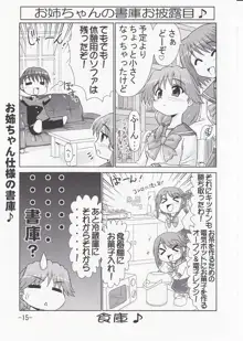 いくのんまんが3 ~学園編~, 日本語