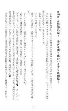 聖光剣姫スターティア 女幹部にふたなり調教される変身ヒロイン, 日本語