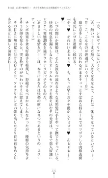 聖光剣姫スターティア 女幹部にふたなり調教される変身ヒロイン, 日本語