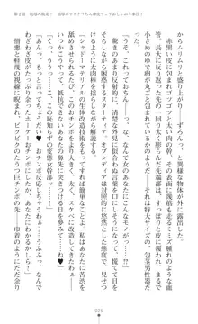 聖光剣姫スターティア 女幹部にふたなり調教される変身ヒロイン, 日本語