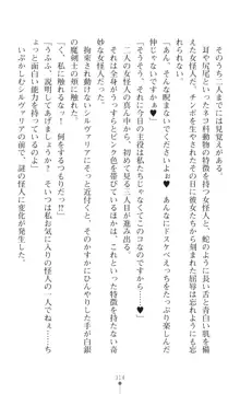 聖光剣姫スターティア 女幹部にふたなり調教される変身ヒロイン, 日本語