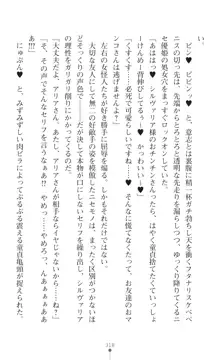 聖光剣姫スターティア 女幹部にふたなり調教される変身ヒロイン, 日本語