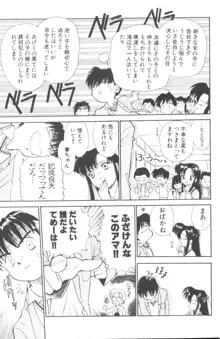 ぽちとお嬢さま, 日本語