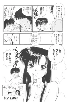 ぽちとお嬢さま, 日本語