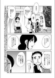 ひるがお 第1-40話, 日本語