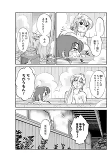 ひるがお 第1-40話, 日本語