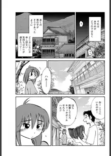 ひるがお 第1-40話, 日本語