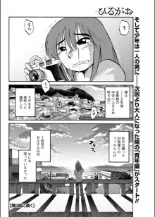 ひるがお 第1-40話, 日本語