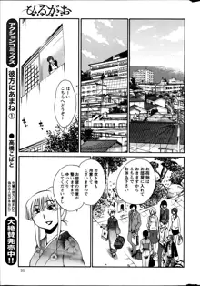 ひるがお 第1-40話, 日本語