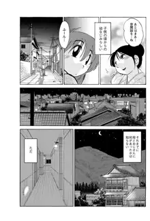 ひるがお 第1-40話, 日本語