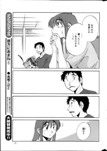 ひるがお 第1-40話, 日本語