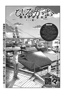 ひるがお 第1-40話, 日本語