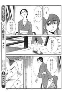 ひるがお 第1-40話, 日本語