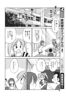 ひるがお 第1-40話, 日本語