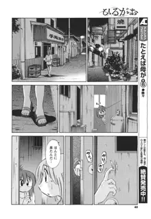 ひるがお 第1-40話, 日本語