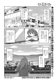 ひるがお 第1-40話, 日本語