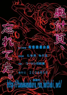 肉便器 輪姦されし者達, 日本語