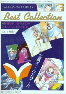 レモンピープル 1985年2月増刊号 Vol.38 Best Collection, 日本語