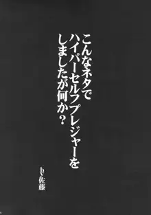 岬ちゃんでようこそ!ハイパー陵辱プレジャー!!!, 日本語