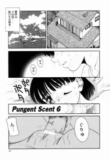 Pungent Scent 魅惑の香り, 日本語