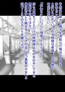 時間停止電車~時間を止めて、電車の中でエッチないたずら~, 日本語