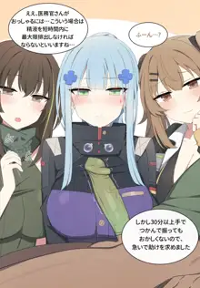 hk416, 日本語