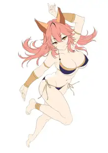 Tamamo no Mae, 日本語