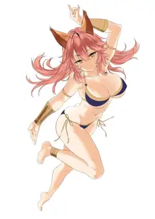 Tamamo no Mae, 日本語