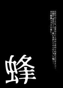 BEYOND～愛すべき彼方の人びと2, 日本語