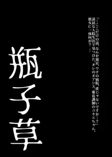 BEYOND～愛すべき彼方の人びと2, 日本語