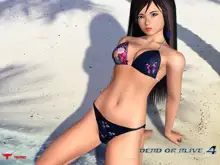 DOA4 pic, 日本語