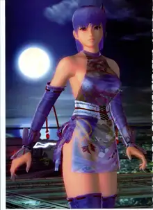 DOA4 pic, 日本語