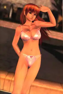 DOA4 pic, 日本語