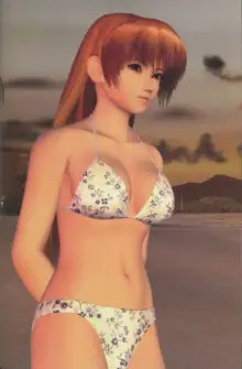 DOA4 pic, 日本語